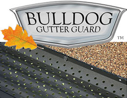 gutter guards, pool cages, tampa